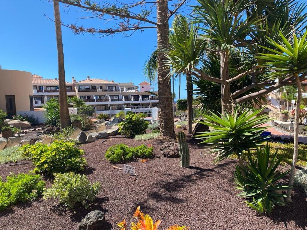 Wonderful Apartment With Pool And Wi-Fi Golf Del Sur Exteriör bild